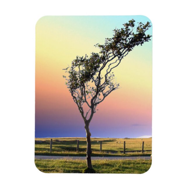 MAGNET FLEXIBLE ARBRE LONE (Vertical)