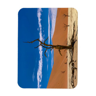 Magnet Flexible Arbre mort à Deadvlei