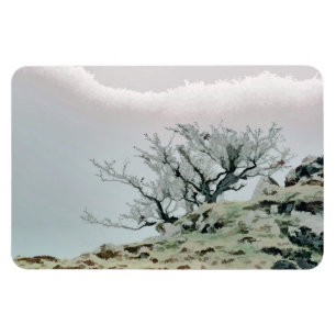 MAGNET FLEXIBLE ARBRES