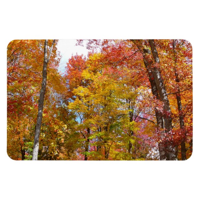Magnet Flexible Arbres automnes oranges et jaunes Photographie d'a (Horizontal)