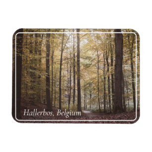 Magnet Flexible Arbres d'automne, Hallerbos, Belgique