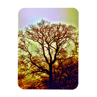MAGNET FLEXIBLE ARBRES SOLEIL BRUMEUX