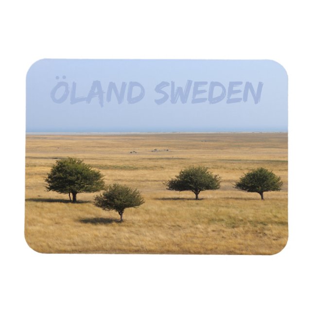 Magnet Flexible Arbres sur la Savannah, Öland, Suède (Horizontal)