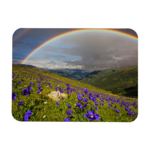Magnet Flexible Arc-en-ciel au-dessus d'un pré fleurissant