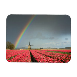 Magnet Flexible Arc en ciel, tulipes et aimant rectangulaire mouli