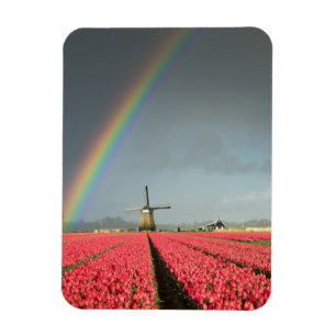 Magnet Flexible Arc-en-ciel, tulipes et aimant vertical du moulin 