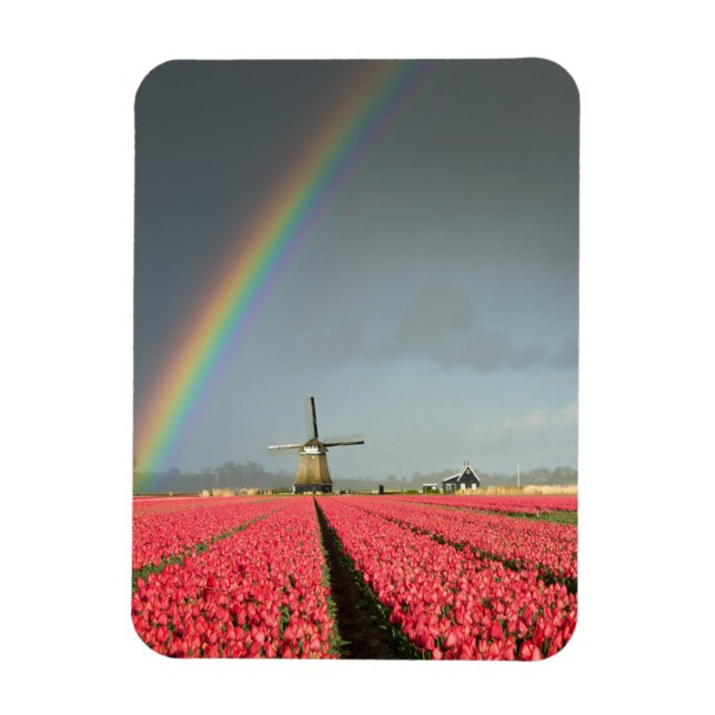 Magnet Flexible Arc-en-ciel, tulipes et aimant vertical du moulin  (Vertical)