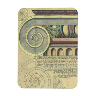 Magnet Flexible Architecture vintage ; Capital Volute par Vignola