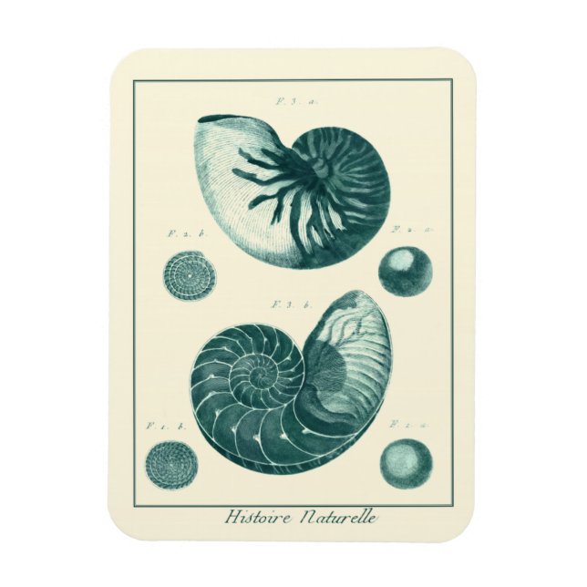 Magnet Flexible Art de coquillage rouge et vert (Vertical)