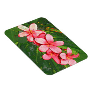 Magnet Flexible Art de Frangipanier Tropical Rose