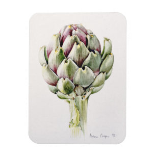 Magnet Flexible Artichoke Study 1993