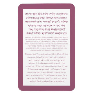 Magnet Flexible Asher Yatzar Hébreu Bénédiction Dusty Rose Poster