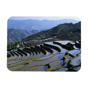 Magnet Flexible Asie, Chine, Yunnan, Yuanyang. Robuste