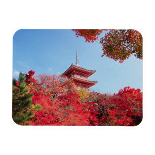Magnet Flexible Asie, Japon, Kyoto. Couleur d'automne