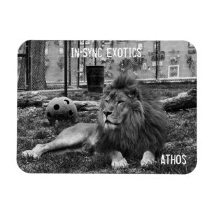Magnet Flexible Athos -