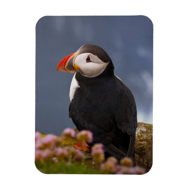 MAGNET FLEXIBLE ATL PUFFIN (Vertical)