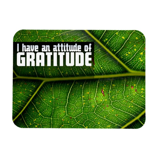 Magnet Flexible "Attitude de gratitude" Motivation Affirmation (Horizontal)