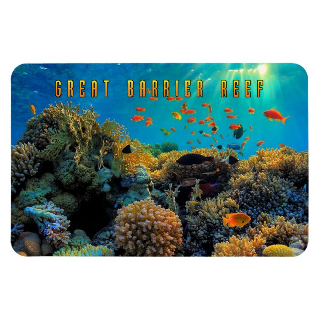Magnet Flexible Australie Grande barrière de corail stylisée (Horizontal)