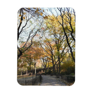 Magnet Flexible Automne Feuillage Automne Feuilles Nature Arbre Ph