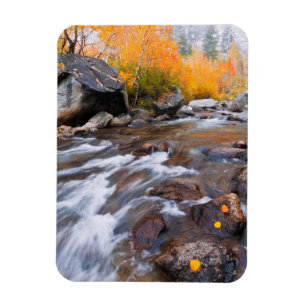 Magnet Flexible Automne le long de Bishop Creek, CA