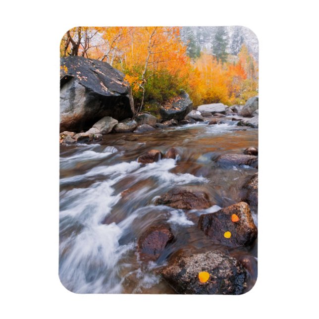 Magnet Flexible Automne le long de Bishop Creek, CA (Vertical)
