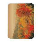 Automne, New Hampshire, États-Unis