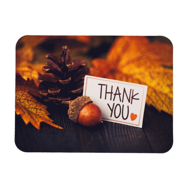 Magnet Flexible Automne Thanksgiving Photographie Citrouille (Horizontal)