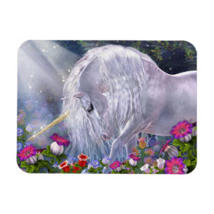 Magnet Flexible Avalon Flexi