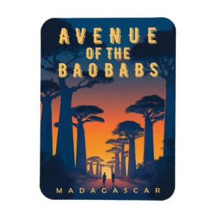 Magnet Flexible Avenue des Baobabs Madagascar - Afrique rétro