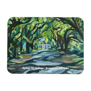 Magnet Flexible Avenue d'université de Spring Hill du kmkirkART d
