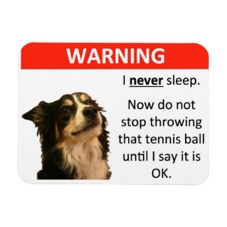 Magnet Flexible Avertissement de balle de tennis (Collie frontière