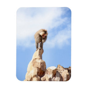 Magnet Flexible Babouin majestueux sur un sommet de montagne