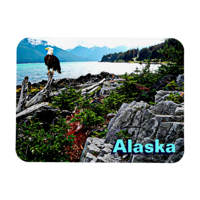 Magnet Flexible Bald Eagle Sur La Côte De L'Alaska (Horizontal)