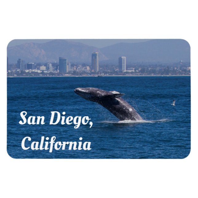 Magnet Flexible Baleine d'un temps San Diego, CA (Horizontal)