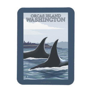Magnet Flexible Baleines #1 - orques île, Washington d'orque