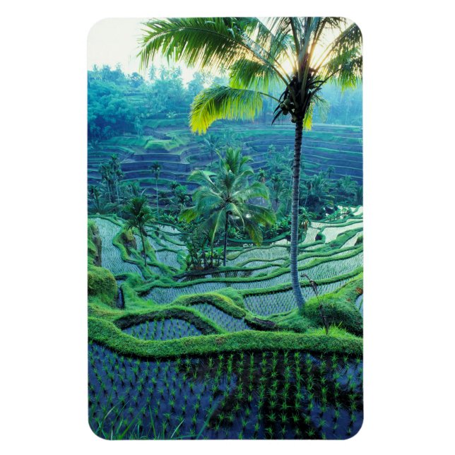 Magnet Flexible Bali | Vue D'Ensemble Des Terrasses De Riz (Vertical)