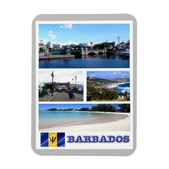 Magnet Flexible Barbade - Mosaic - (Vertical)