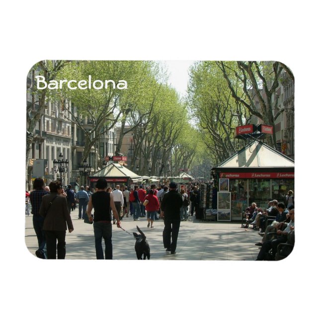 Magnet Flexible Barcelone (Horizontal)