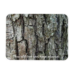 Magnet Flexible Barre Cet Arbre Ancien Peut Garder Un Secret