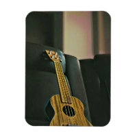 basse acoustique guitare électrique cadeau