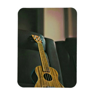 Magnet Flexible basse acoustique guitare électrique cadeau