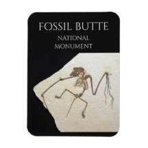 Bat Fossil, le monument national de Fossil Butte
