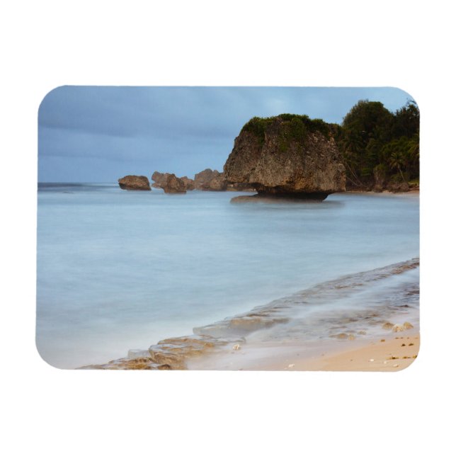 Magnet Flexible Bathsheba (Horizontal)