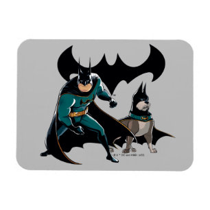 Magnet Flexible Batman & Ace