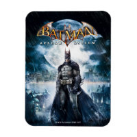 Batman : Arkham Asylum | Art de la couverture de j