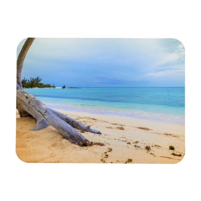 Magnet Flexible Beachscape (Horizontal)
