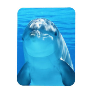 Magnet Flexible Beau animal marin dauphin en Mer Bleue