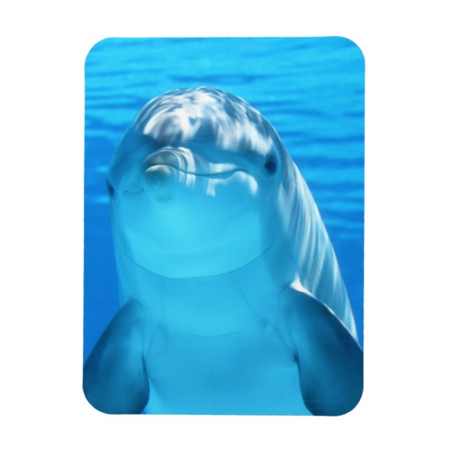 Magnet Flexible Beau animal marin dauphin en Mer Bleue (Vertical)