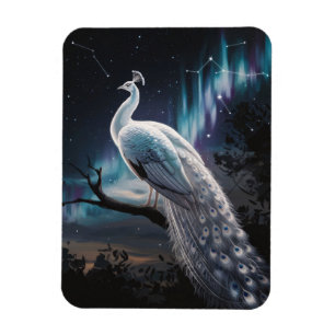 Magnet Flexible Beau Peacock Blanc Aurora Borealis Pittoresque