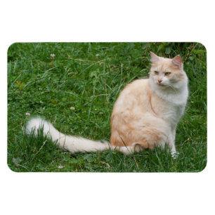 Magnet Flexible Beauté rouge clair